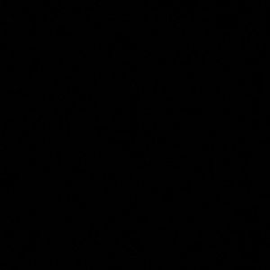 Meet your Posher, Kati